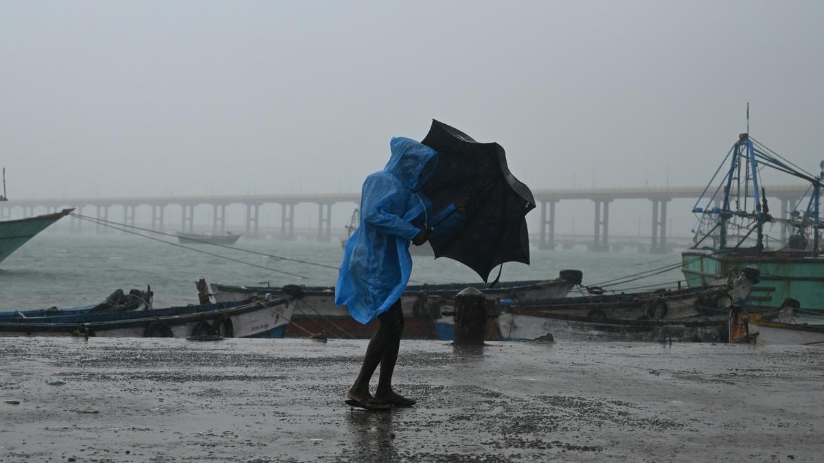 10 districts in Tamil Nadu likely to receive heavy rainfall on February 28