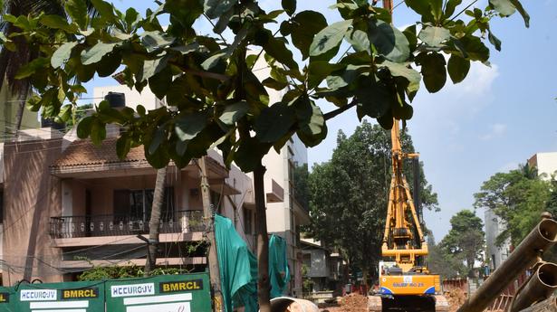 BBMP to cut weak tree branches across Bengaluru