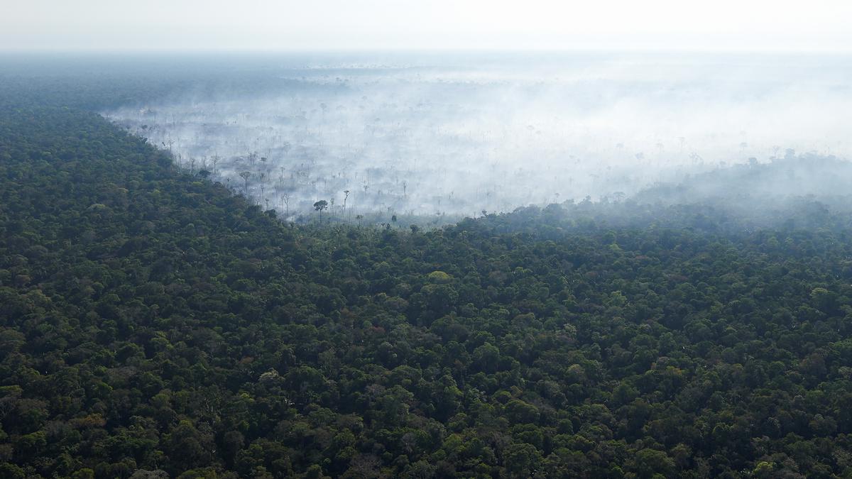 Lula to host South American summit on saving the Amazon