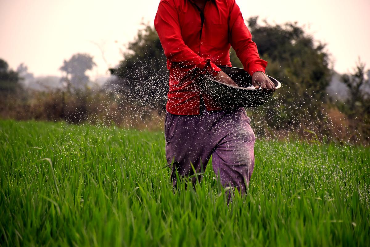 thehindu.com - The Hindu Bureau - Agri-tech has improved productivity and post-harvest management, say experts at webinar