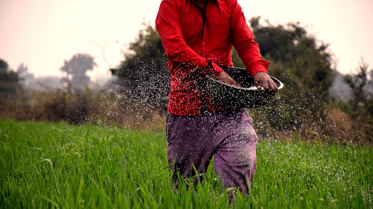 Agri-tech has improved productivity and post-harvest management, say experts at webinar