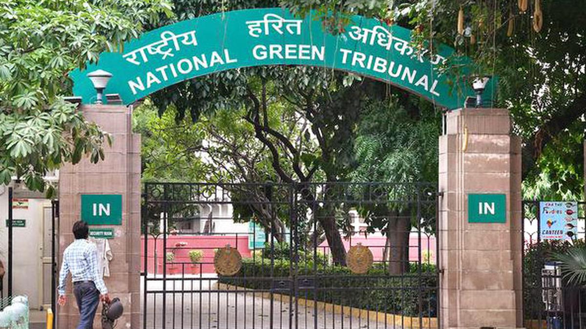 Form Panel To Create Safeguards NGT To MoEF CC The Hindu