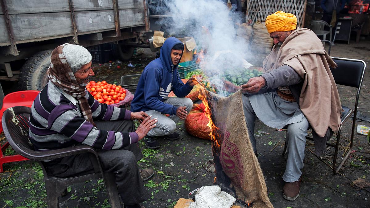 Dense fog reduces visibility in Punjab, Haryana; no respite from cold conditions