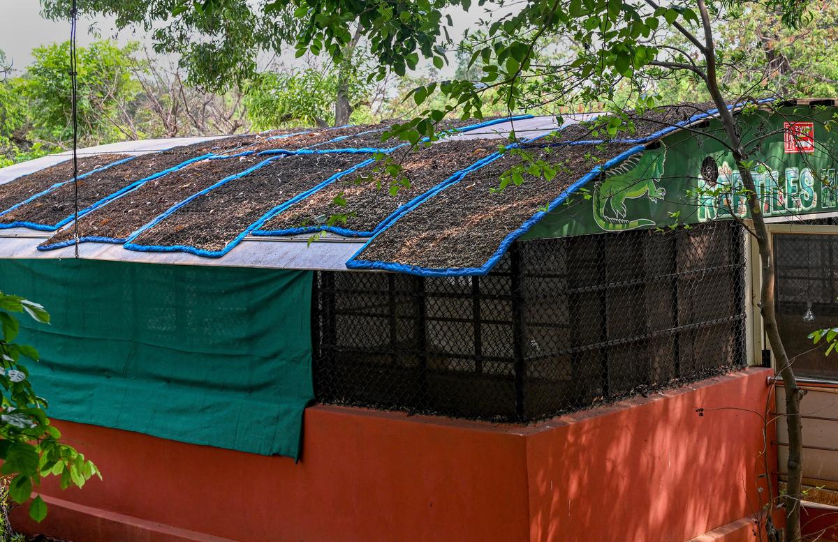 How Visakhapatnam zoo keeps animals cool as temperatures rise