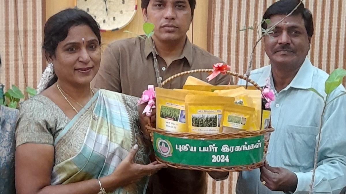 TNAU delivers advantageous alternative to GI-tagged Pusa basmati rice 