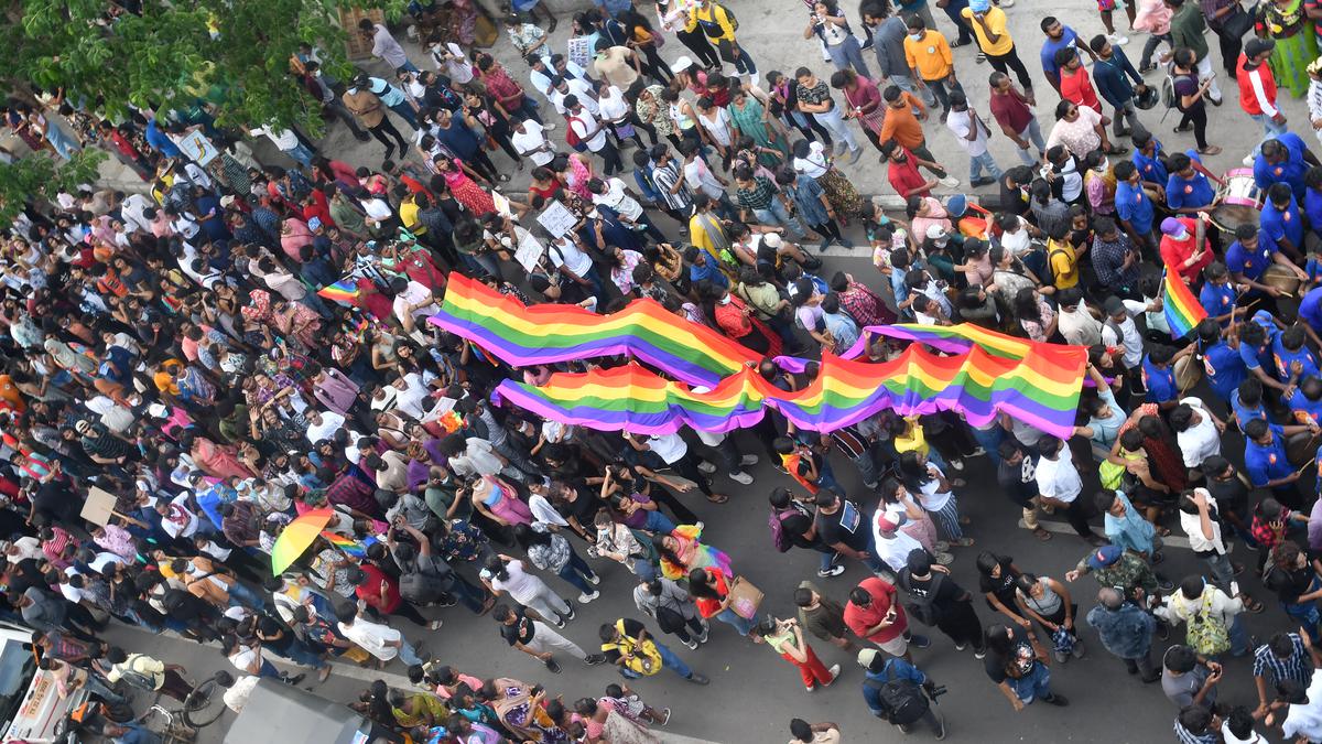 Consider providing 1% horizontal reservation to transgender persons in education, public employment: Madras High Court to T.N.