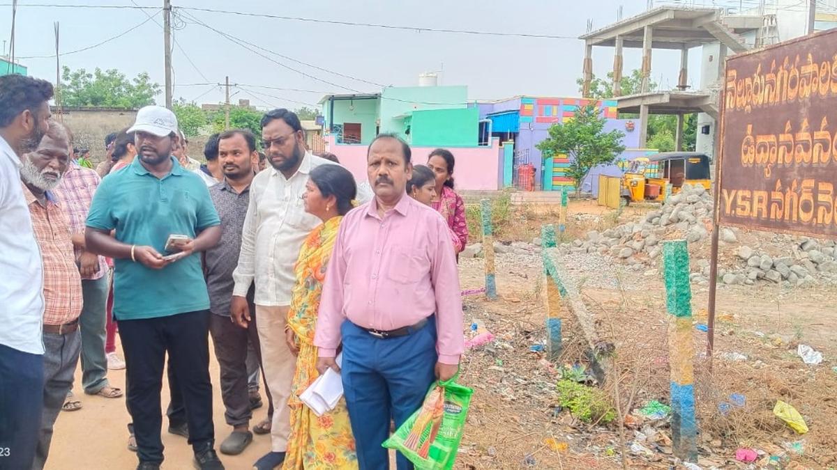 Nellore Municipal Corporation takes multiple steps to curb mosquito menace in city