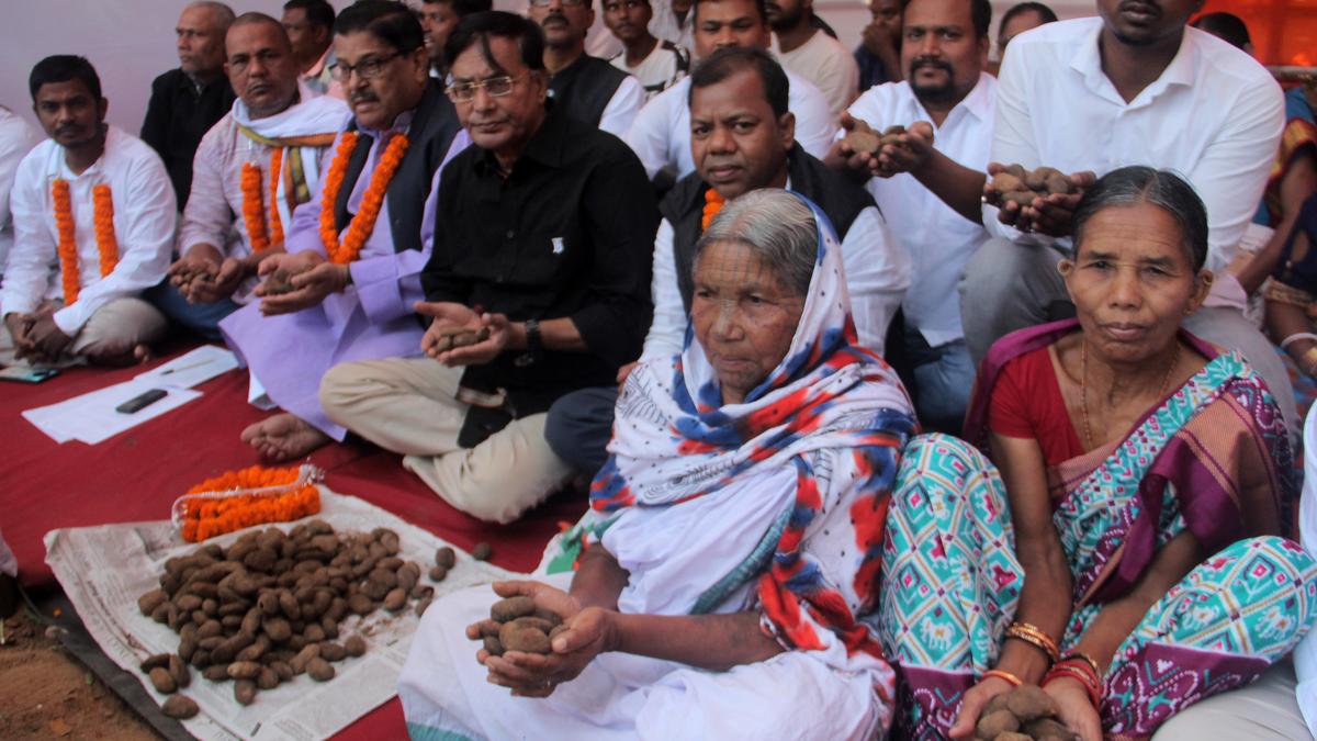 Failing PDS beneficiaries in Odisha
Premium