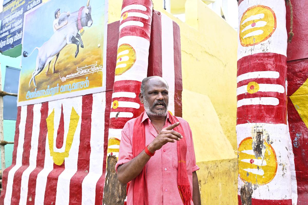 S Muthaiah vicino all'Alanganallur vaadivasal da dove i tori caricano