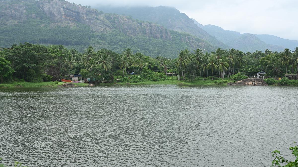 Kanniyakumari Collector releases water for irrigation from Pechiparai dam