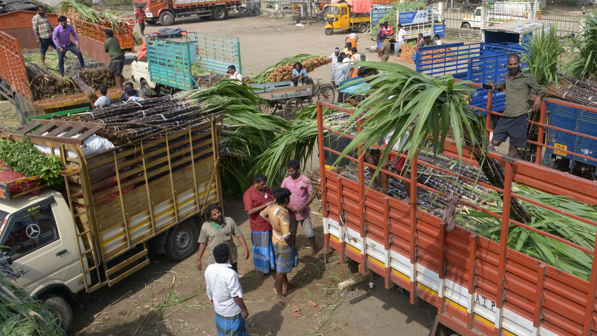 Vegetable prices at Koyambedu wholesale market expected to increase by 10% ahead of Pongal