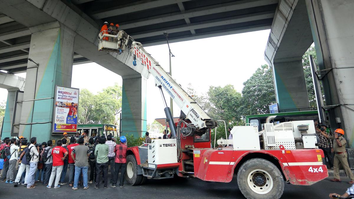 Efforts on to save cat trapped atop metro pillar