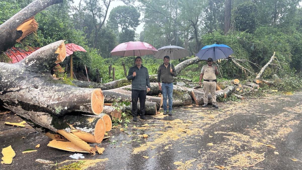 Incessant rains in Kodagu, one person dies due to tree fall