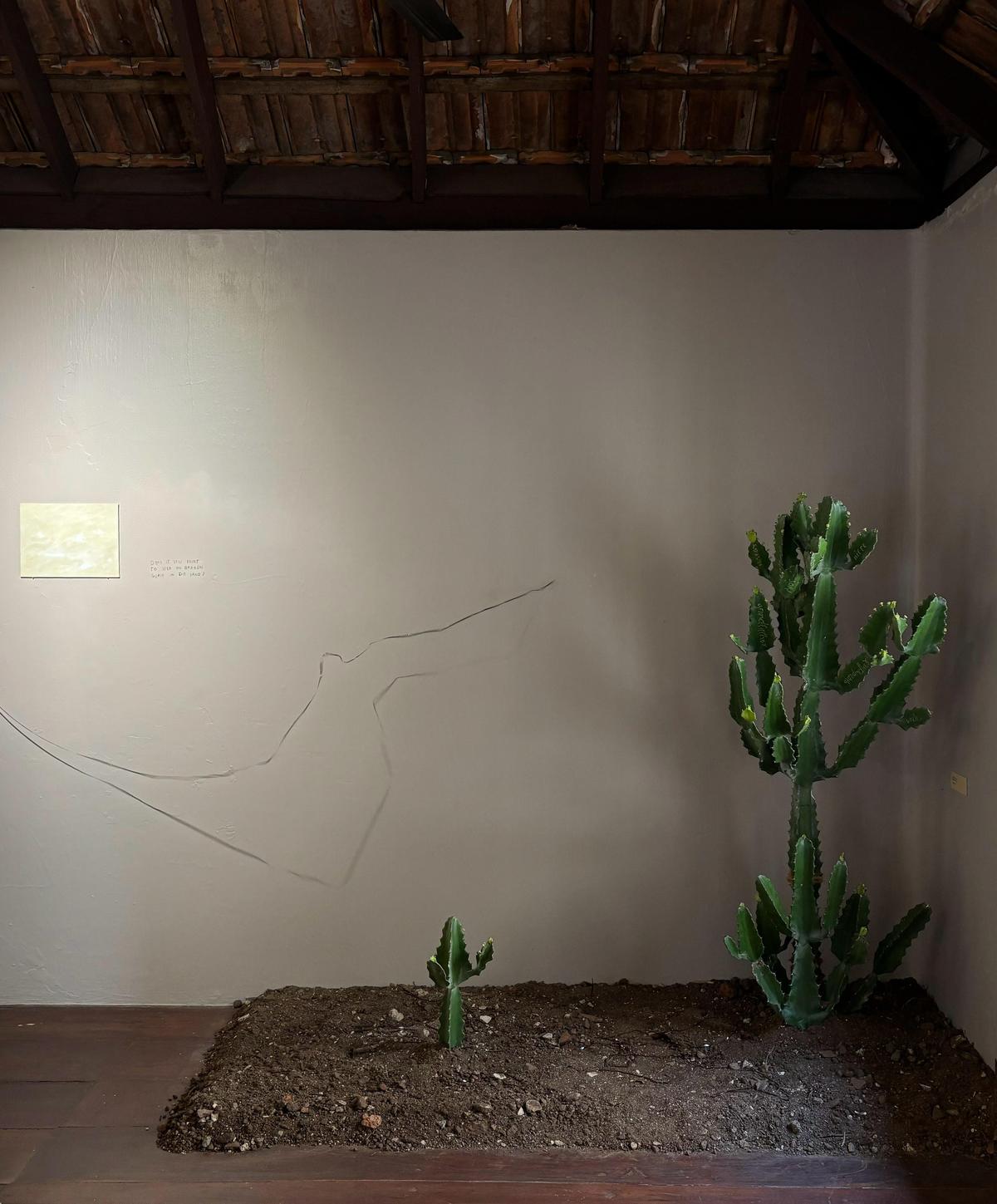 Family tree exhibition by Sanath Sugathan Family tree exhibition by Sanath Sugathan