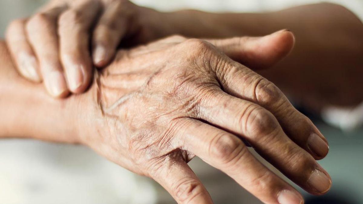 JNCASR researchers uncover missing link in cellular cleanup that can help treat Alzheimer’s, Parkinson’s, and cancer