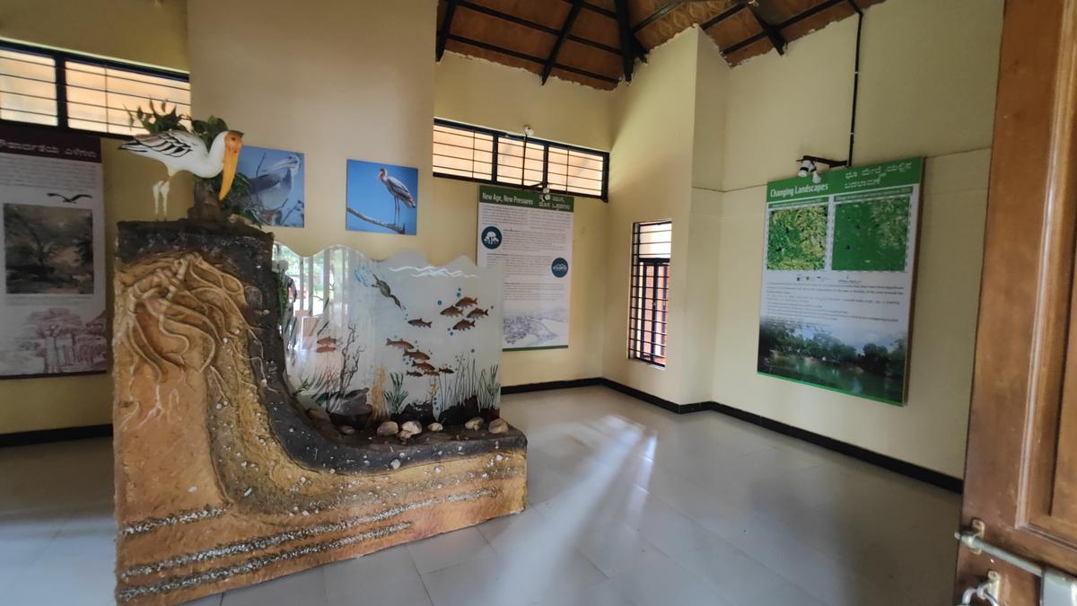 Inside the Nature Interpretation Centre in Kokkrebellur