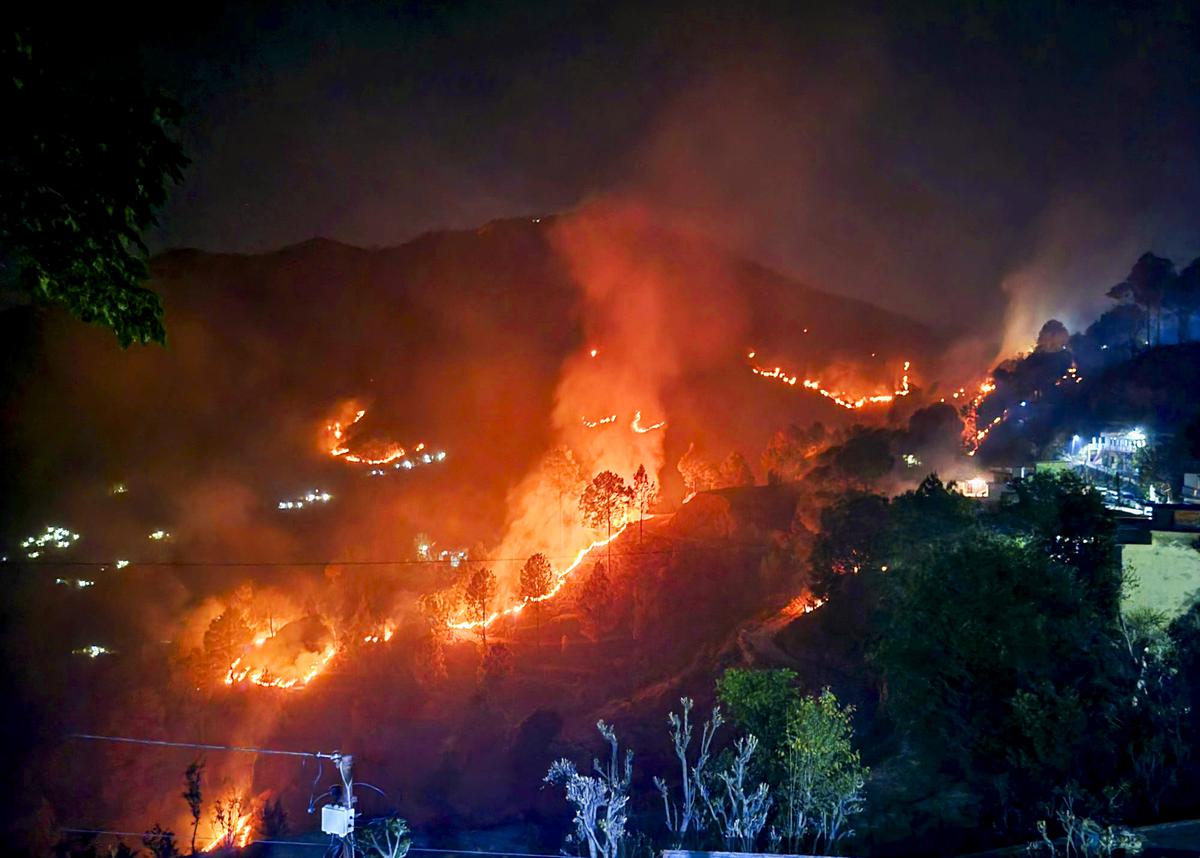 Watch | Massive forest fire sweeps parts of Nainital