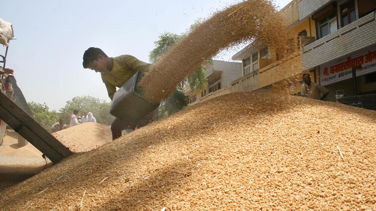 India's wheat output may set new record of over 112 lakh tonnes in 2022-23: govt. officials