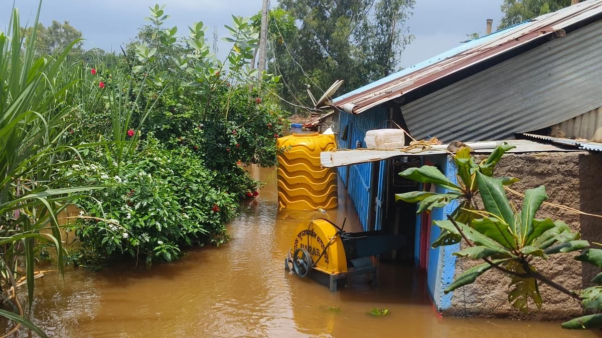 Rainfall subsides in Belagavi, but threat of flood remains