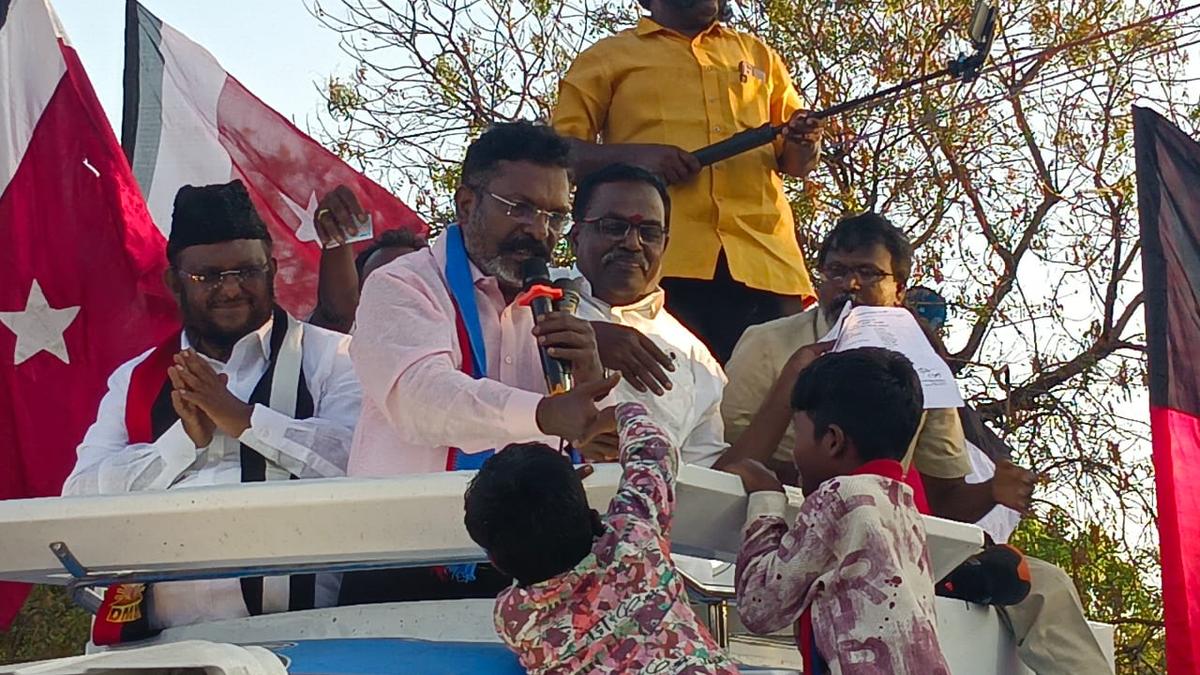 Tamil Nadu Assembly Elections: Vote for Vijay will help AIADMK and BJP, says Thirumavalavan