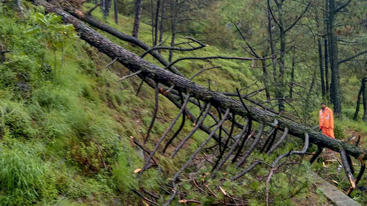 Torrential monsoon rains create havoc in Himachal Pradesh; rivers in spate in Punjab