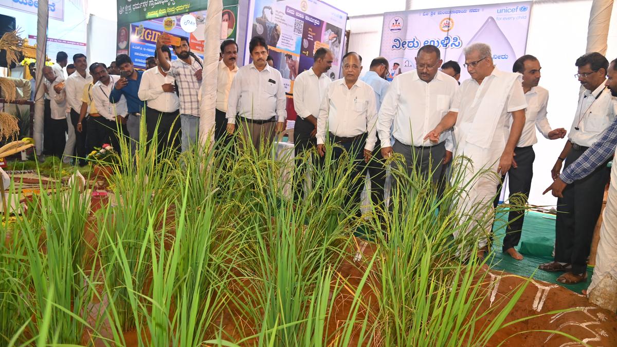 Lakshadeepotsava celebrations begin in Dharmasthala