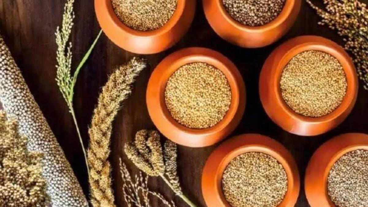 In Kerala, ‘Millet Cafes’ to come up in every district in a phased manner to popularise millets products