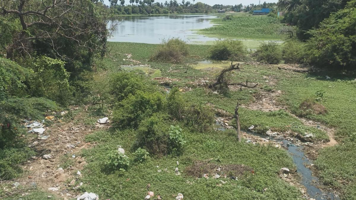 Tamil Nadu Assembly election 2026: Lack of civic amenities irks Thiruporur constituency residents as urbanisation takes toll
