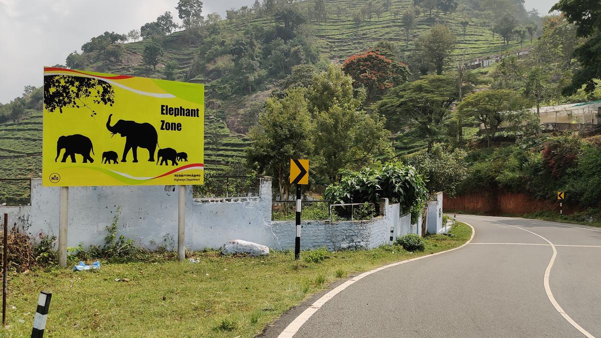 Disturbance to elephant habitat along Kotagiri-Mettupalayam Road causing aggression among elephants in the Nilgiris: Conservationists