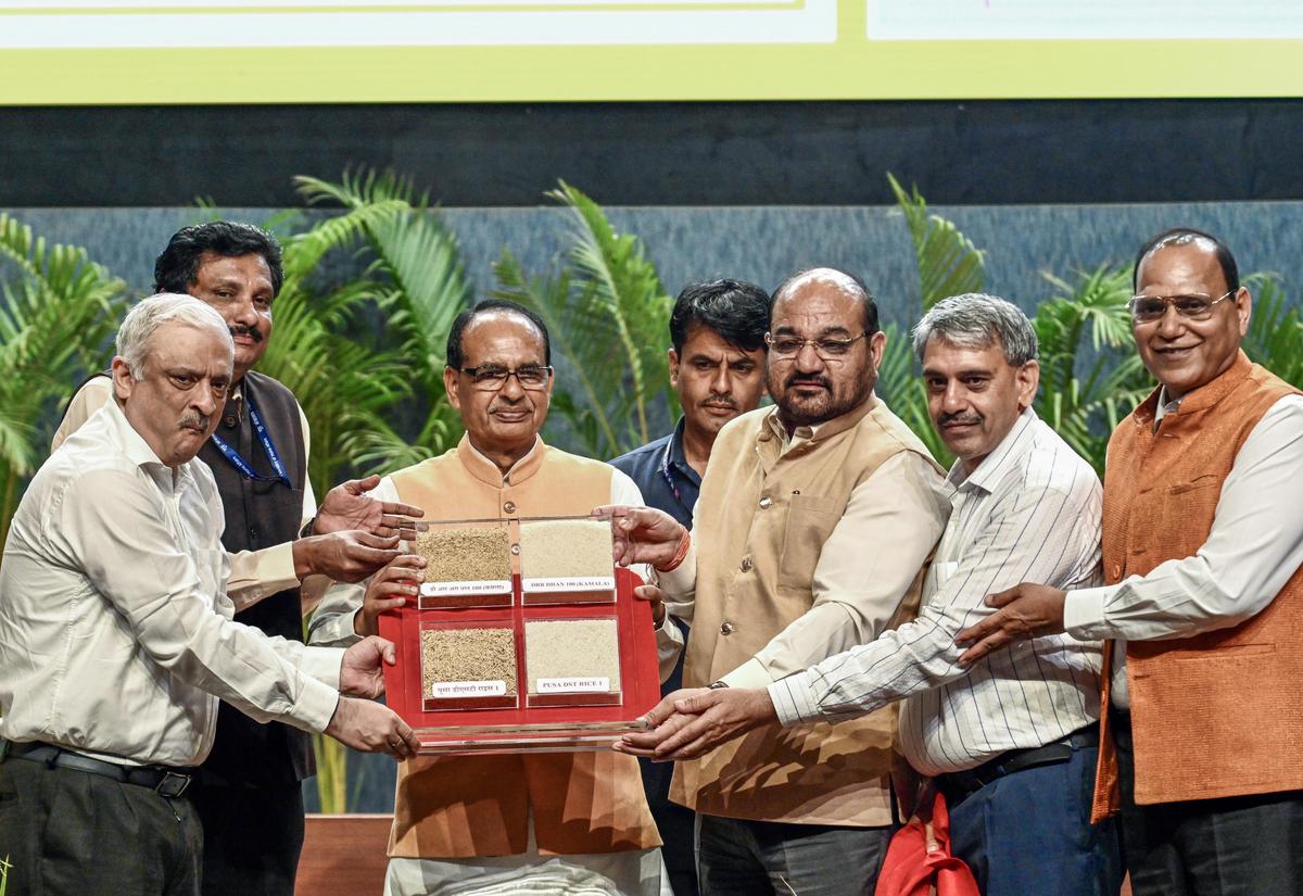 Union Minister of Agriculture and Farmers Welfare Shivraj Singh Chouhan launches two genome-edited varieties of rice by ICAR, at Bharat Ratna C. Subramaniam Auditorium, NASC Complex in New Delhi on May 4, 2025. Union Minister of Agriculture and Farmers Welfare Shivraj Singh Chouhan launches two genome-edited varieties of rice by ICAR, at Bharat Ratna C. Subramaniam Auditorium, NASC Complex in New Delhi on May 4, 2025.
