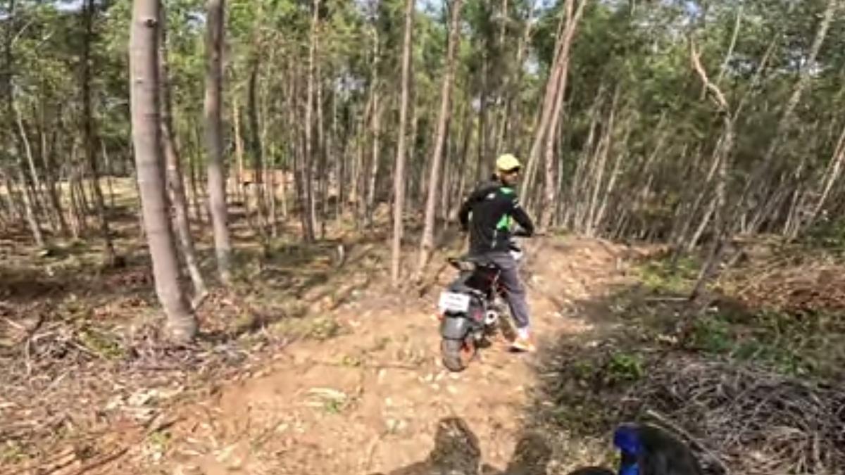 Trespassing vloggers are the latest threat to eco-sensitive forests in Nilgiris