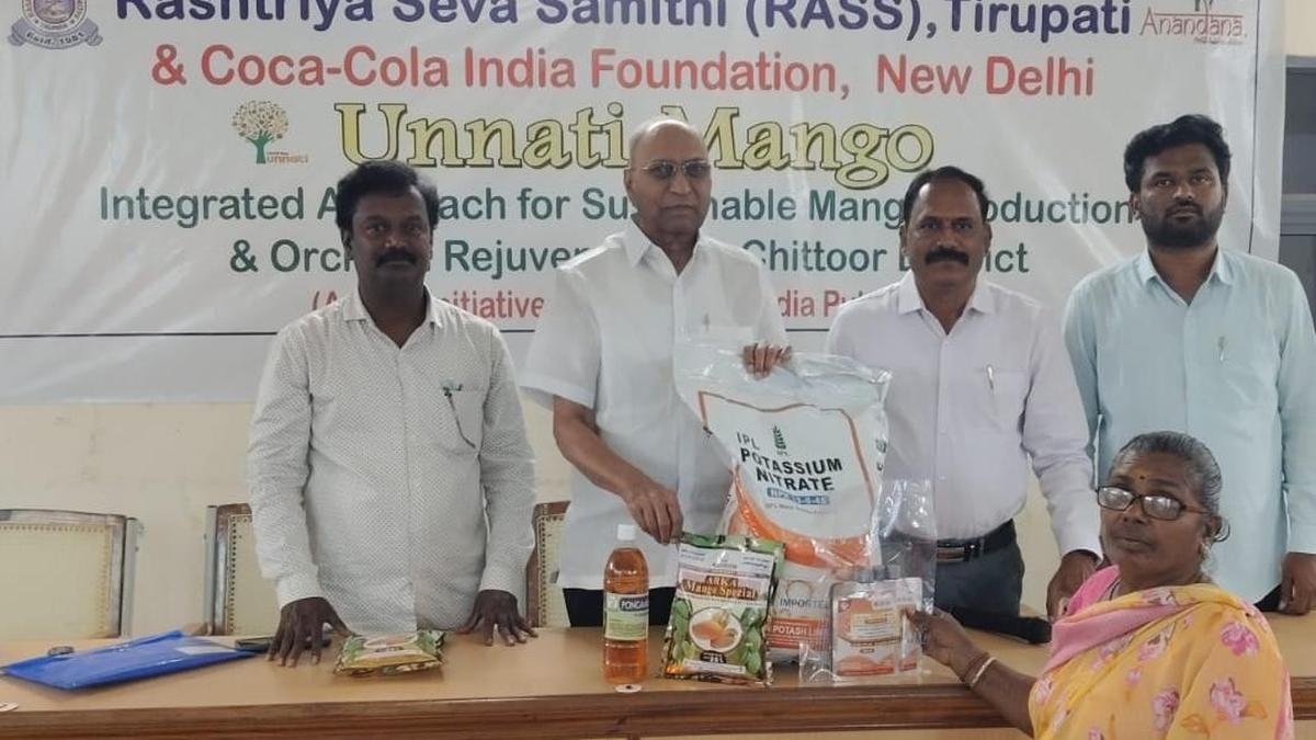 Mango farmers urged to reduce chemical use for better yields