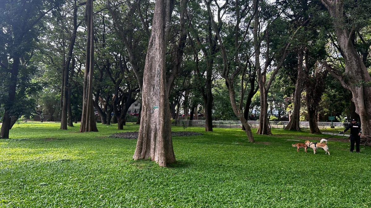 Women flag inappropriate behaviour by men in Cubbon Park in heart of Bengaluru