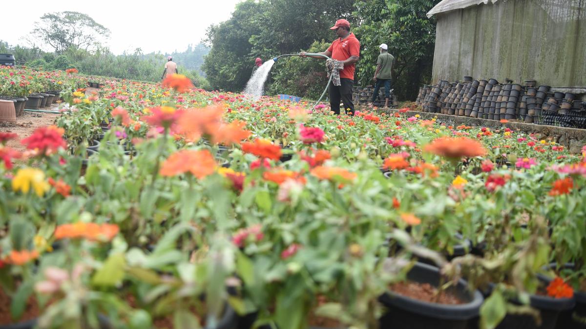 Malabar Garden Festival in Kozhikode from Dec. 20 to 29