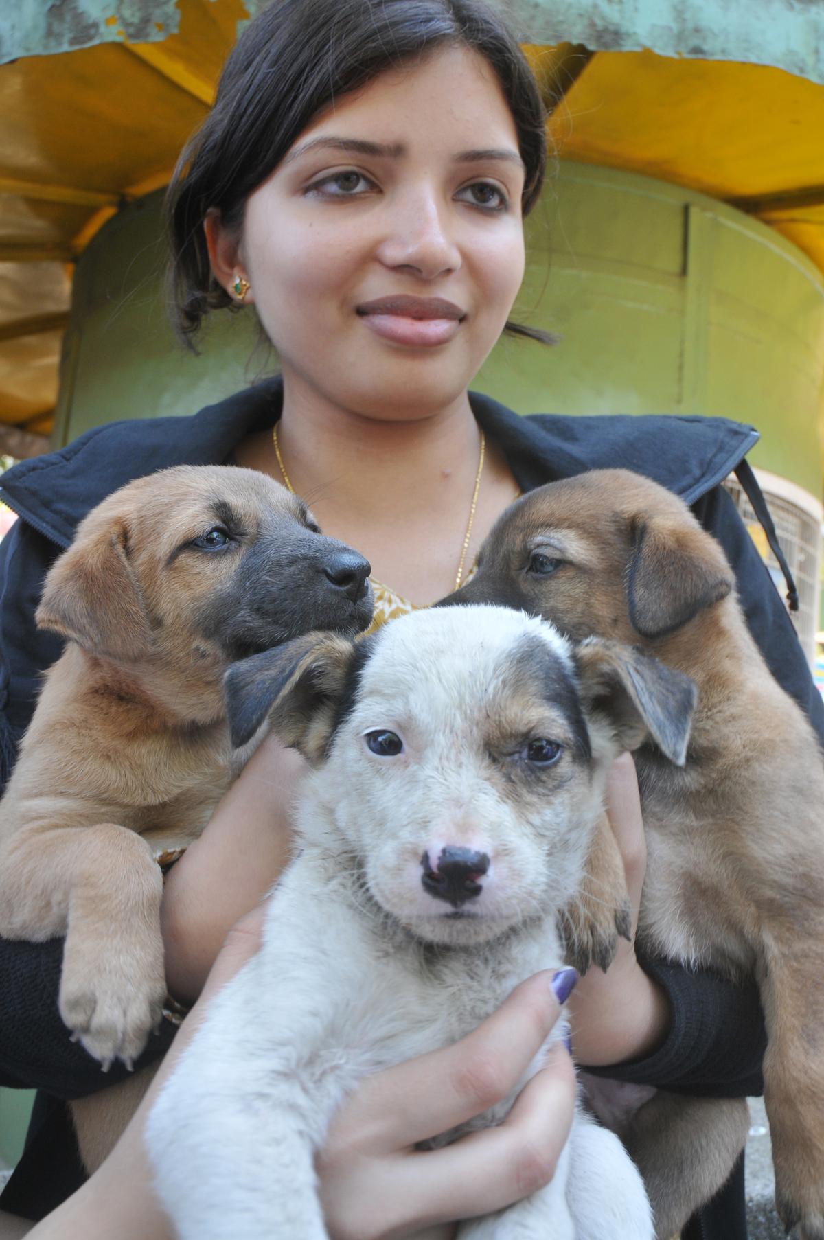A participant of the Puppy Adoption Camp at Cubbon Park in Bangalore in 2011