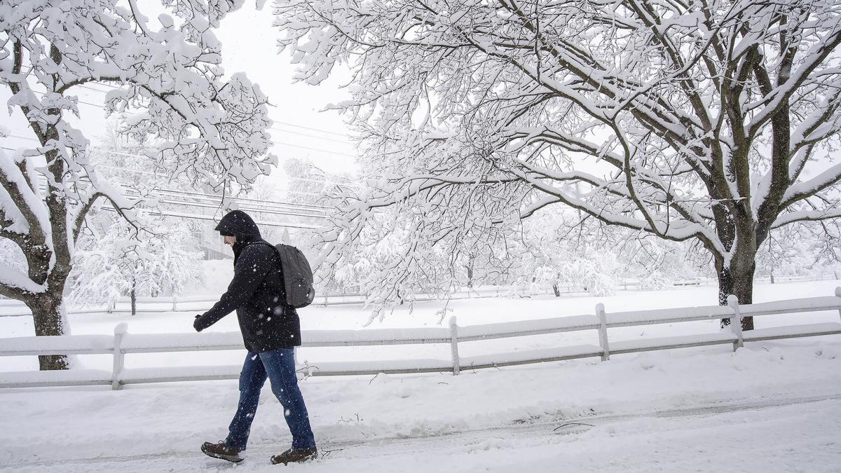 The Science Quiz | Reading the weather