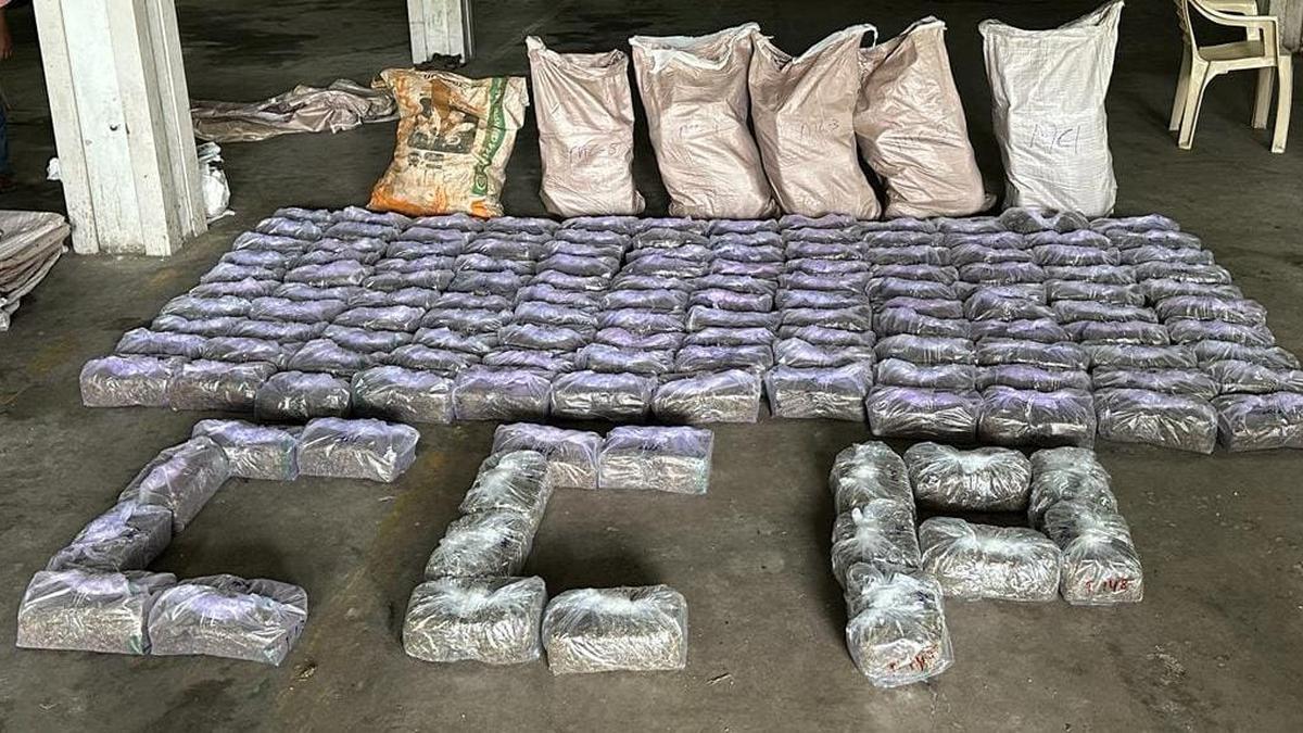 Customs officials seize 405 kgs of ganja worth ₹81 lakh