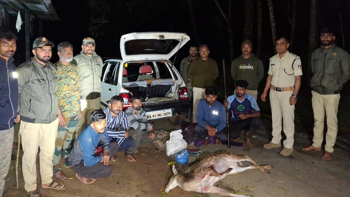 Five arrested on charges of killing a spotted deer in Chikkamagaluru