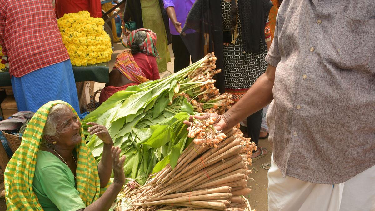 Prices of sugarcane, turmeric and other puja items flare up in Tiruchi