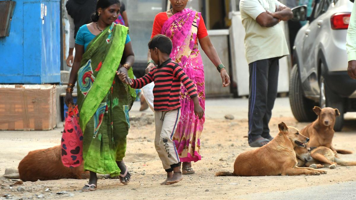 Understanding the street dogs-human conflict