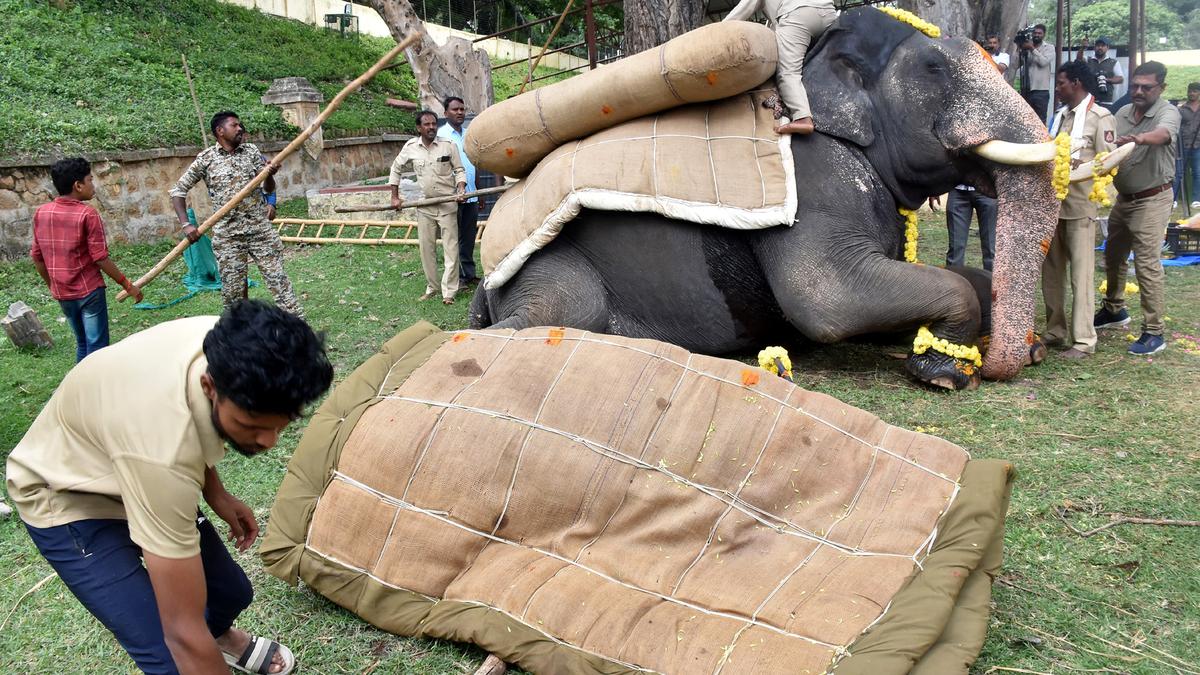 Tusker Abhimanyu carries weight with ease - The Hindu