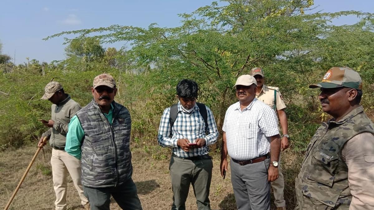 Leopard remains elusive, combing operation on in T. Narsipura