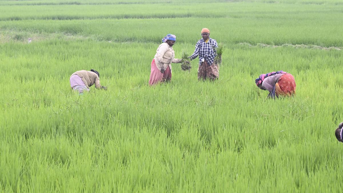 Tamil Nadu election 2026: Dharapuram constituency hit by water problems