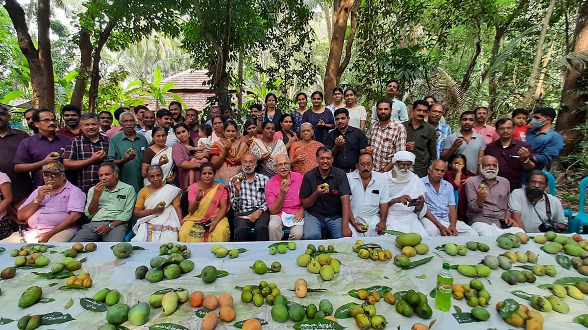 Mango festival at Kannapuram in Kannur on May 11 and 12 focusses on native mango varieties