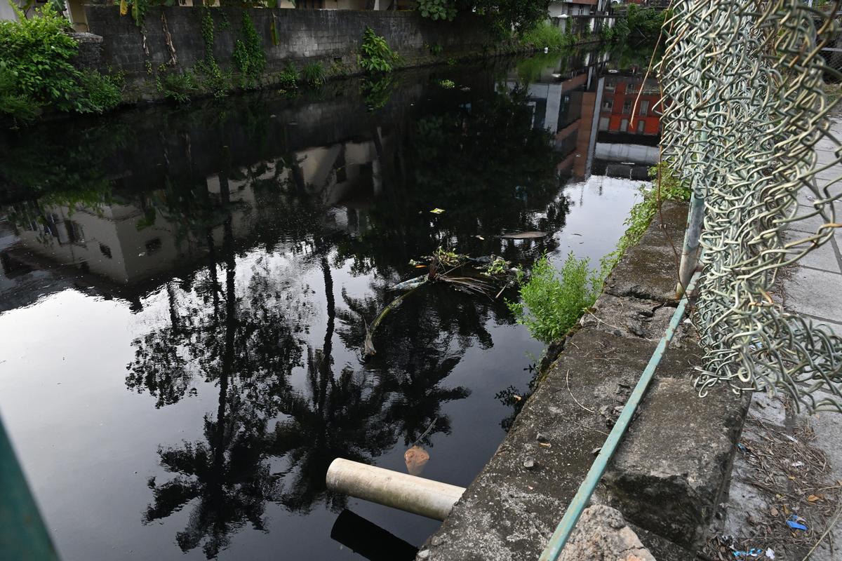 Canal degradation from untreated wastewater dump