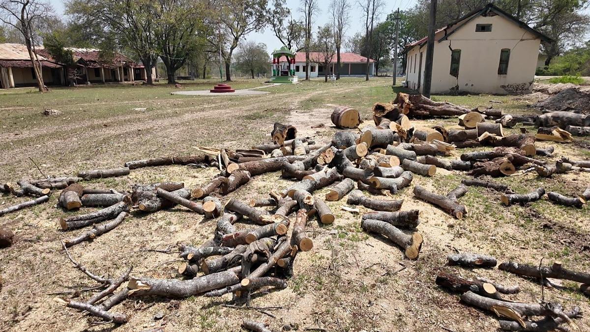 Chopping of trees in Badanavaal Khadi Centre condemned