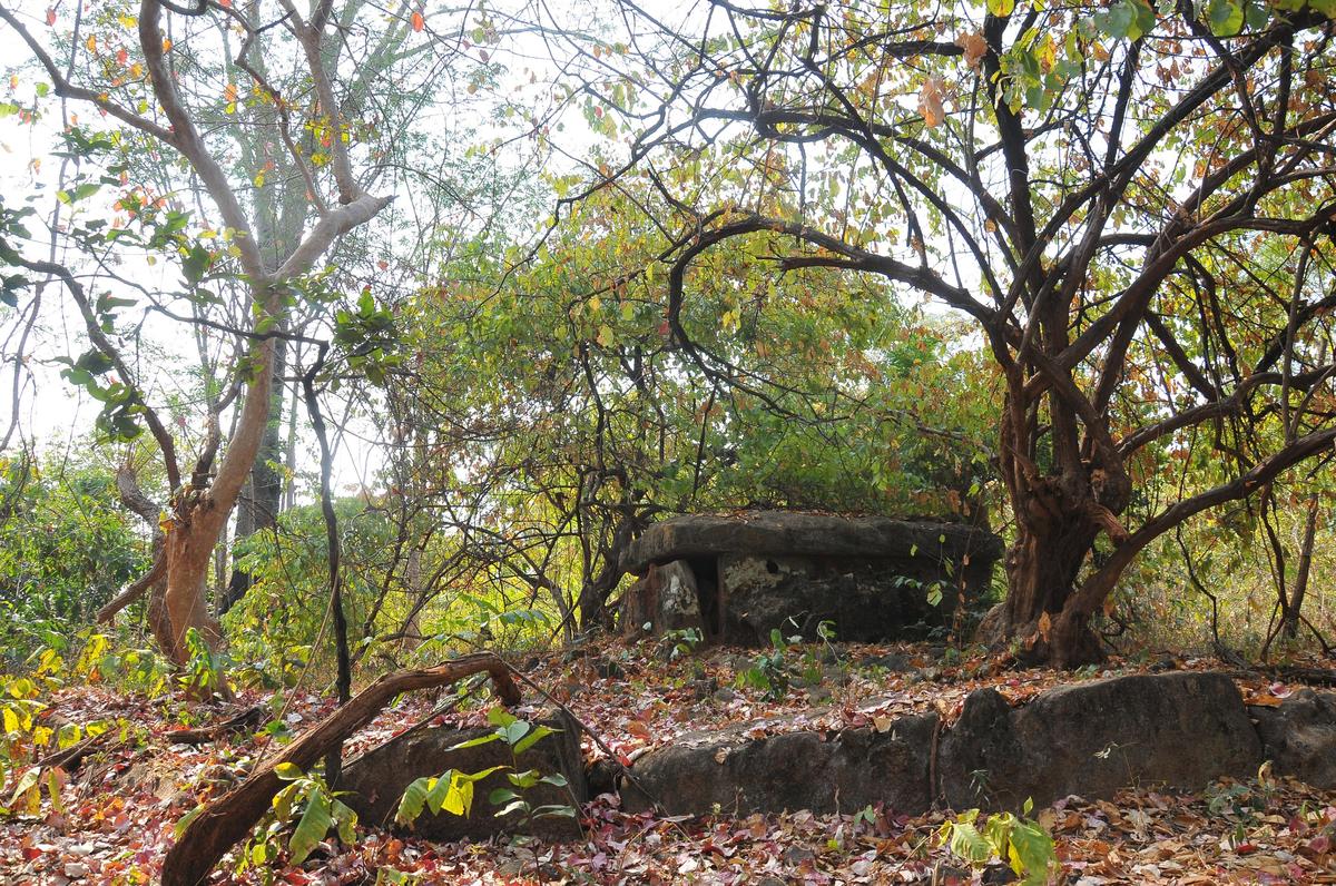 Megalithic burial site at Damaravai village of SS Tadvai Mandal in Mulugu district. 