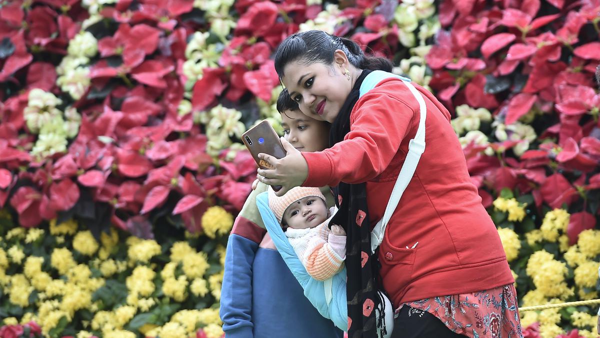 With record revenue of ₹3.3 crore in 10 days, flower show ends with a bang