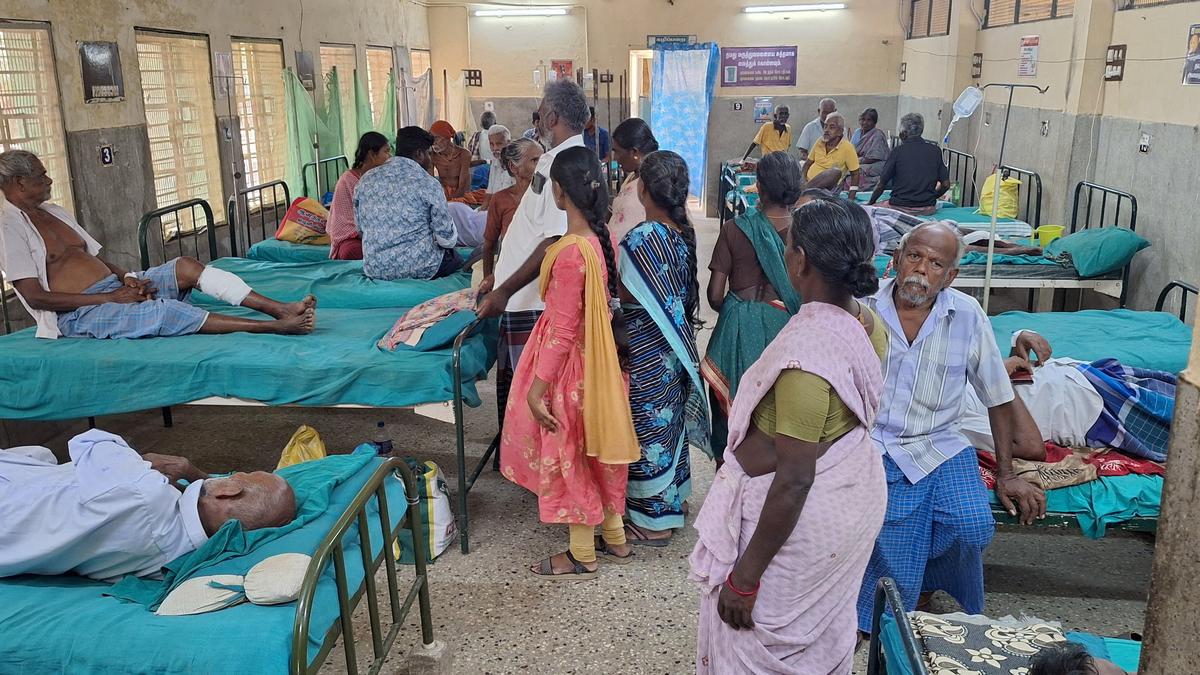 Over 37 lakh dog bite cases, 54 human rabies deaths in 2024: Govt tells Lok Sabha