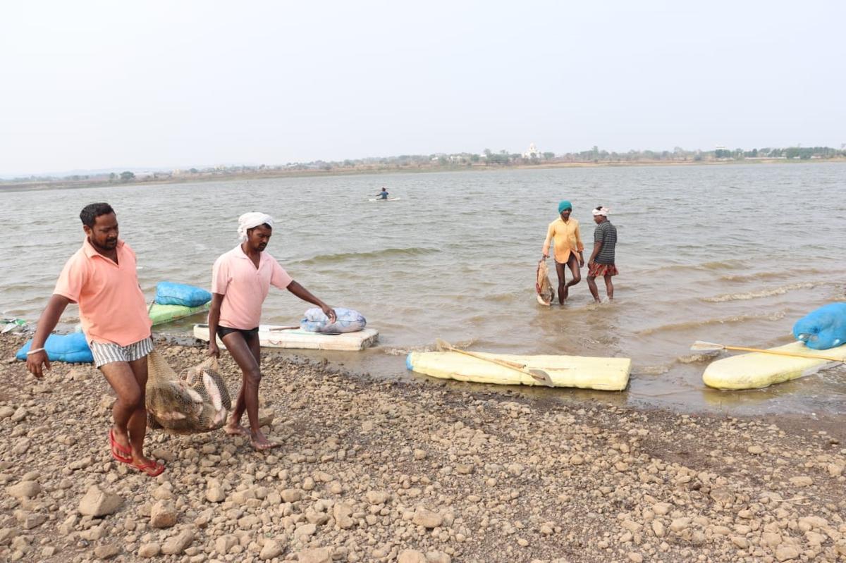 At present, two societies comprising 65 members are engaged in fish farming, cultivating four primary species of fishes — goldfish, catla, mrigal and rohu. 